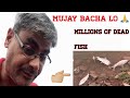 MILLIONS OF DEAD FISH IN RAWAL DAM ISLAMABAD | a vlog