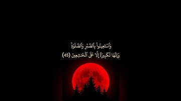 الشيخ محمد الطراف ولاتلبسوا الحق بالباطل تلاوة جميلة