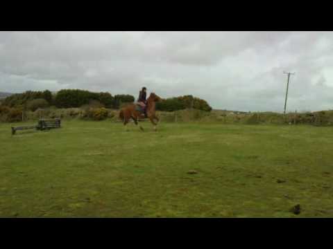 Rebecca Dillon's GCSE PE Horse Riding Video