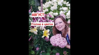 Северный сад в августе: утопаю в цветах! Цветники в августе, обзор сада, теплица в августе!