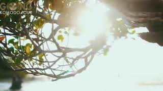 EXPERIENCE THE TRUE EAST INDONESIA....A beautiful Sumba Island