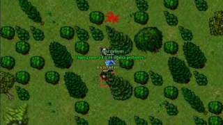 Tibia Valoria Pk