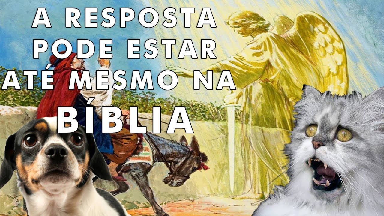 É verdade que seu cão ou gato enxergam espíritos?