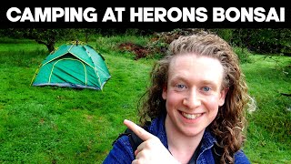 Camping Overnight Inside Herons Bonsai Nursery!