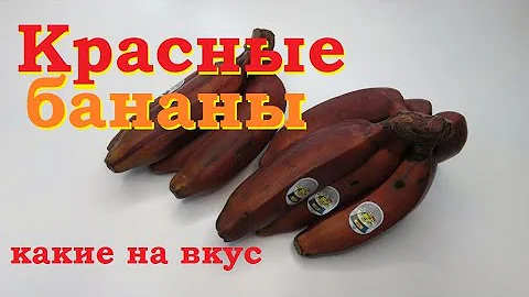 🔴Красные бананы🍌 какие на вкус❓🍌🍌🍌