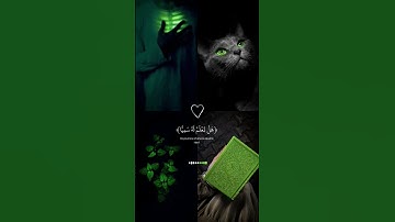 𝑸𝒖𝒓𝒂𝒏♡🌱✨أكتب شيء تؤجر عليه#عبدالرحمن_مسعد #راحه_للقلب #سورة_مريم#راحة_نفسية