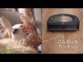 新しいデジタル体験による、掃除の新時代　"ルンバとブラーバがあなたにぴったりのお掃除を提案"