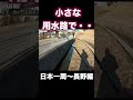 小さな用水路で・・・　＃shorts