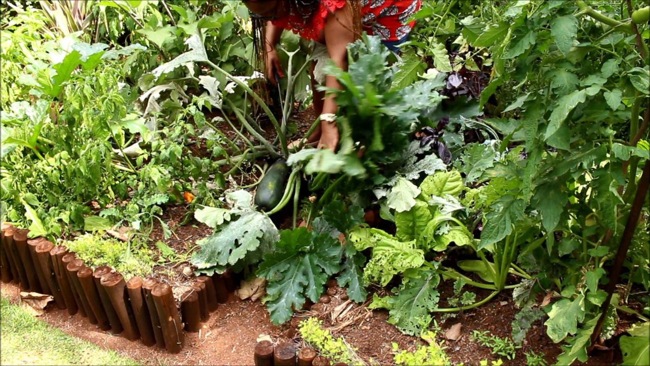 Look at the size of that thing! BIG Marrow