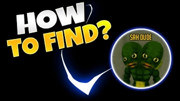 How to find Sah Dude in PTFS Roblox
