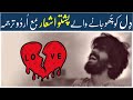 203  pashto poetry with urdu translation  pashto sad heart touching poetry  urdu pashto shayari