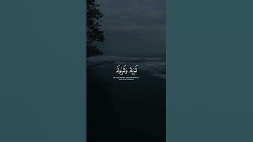 سورة الإخلاص القارئ #شريف_مصطفى