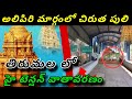 తిరుమల అలిపిరి మెట్ల మార్గంలో చిరుత సంచారం || Cheetah in Tirumala Alipiri || Tirumala Tirupati ||