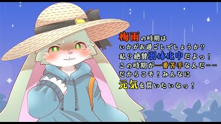 【雑談枠】平日の真ん中っ子！水曜日の雑談配信！