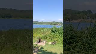 Adapazarı Poyrazlar gölü #doğa #manzara #kahramanmaraş #adapazarı