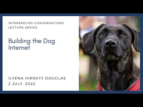 Ilyena Hirskyj-Douglas, Building the Dog Internet