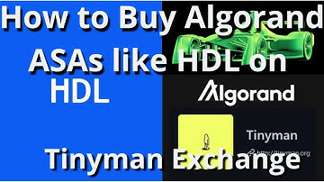 How to swap tokens on Tinyman Exchange