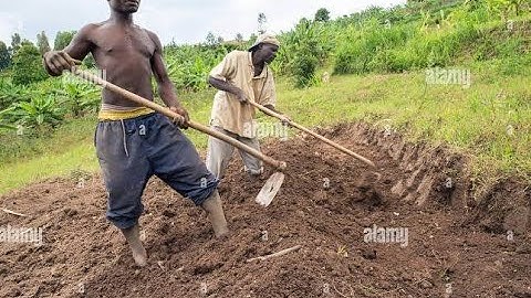 CS2 FUNNY GRIEFING COMPILATION #8