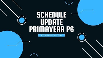 PRIMAVERA P6 MADE EASY! Schedule Update in P6