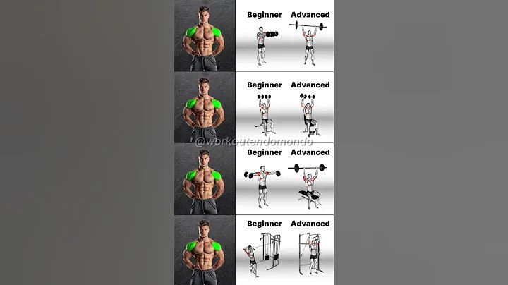 Beginner to Pro Shoulder Workout