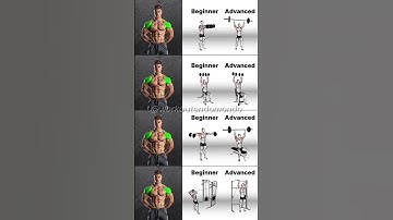 Beginner to Pro Shoulder Workout