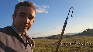 It's gotten out of hand....we're reaching a worrying number of to....@ per square meter.