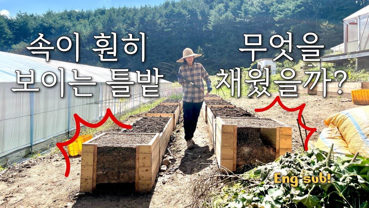 [농사일지36] 3년 동안 쌓은 텃밭 노하우, 후글컬처 틀밭 만드는 방법