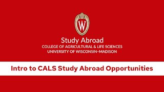 Intro to CALS Study Abroad Opportunities
