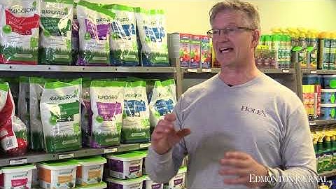 Don’t fall for high-phosphate fertilizers