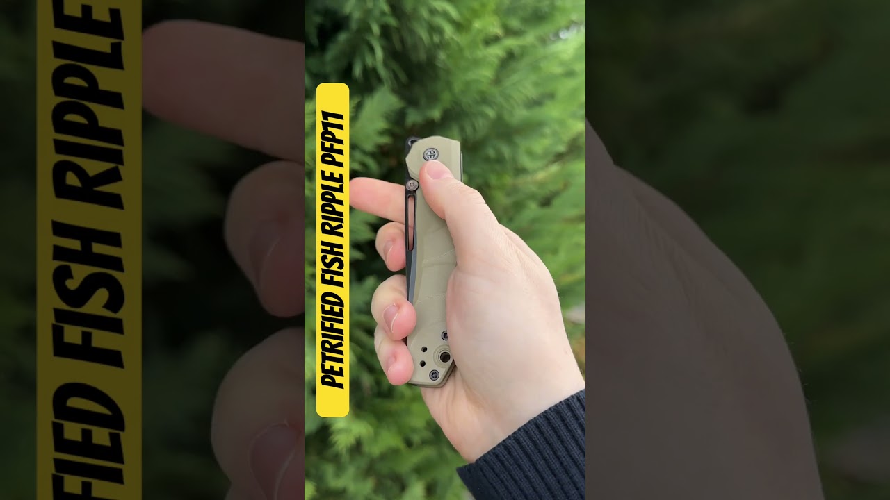 Petrified Fish Ripple PFP 11 - First Look!