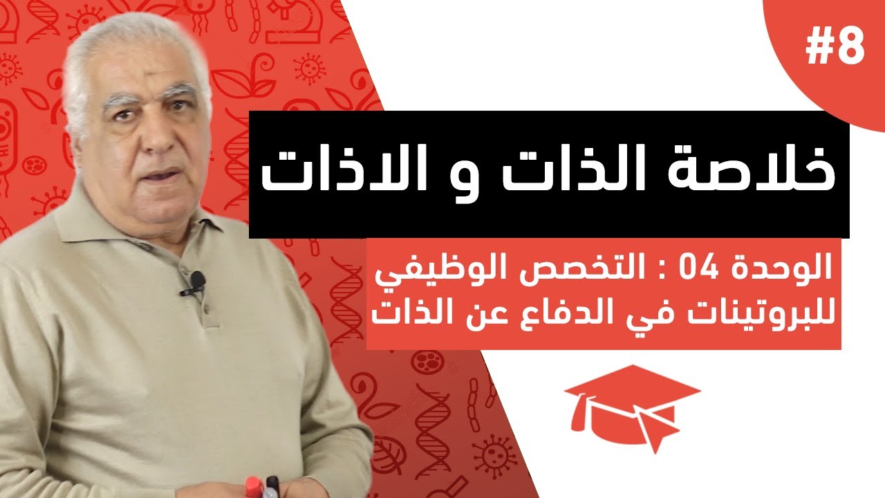 #8 خلاصة الذات و اللاذات