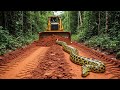Extreme Road Construction! Heavy Bulldozer Clearing Steep Mountain Edge