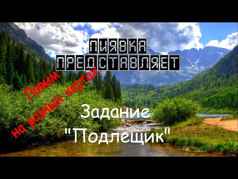 ПОДЛЕЩИК ловим на