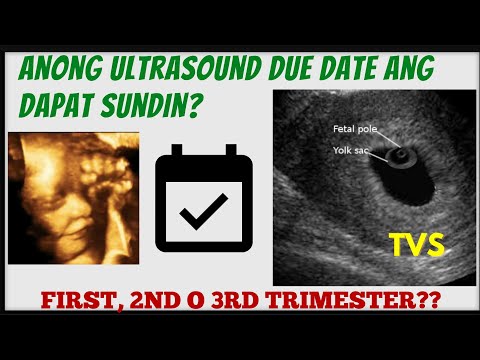 Video: Ano ang kahulugan ng prenatal stage?