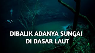 Sungai di Dasar Laut: Keajaiban Tersembunyi!