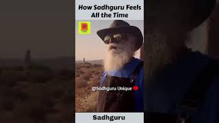 Sadhguru - How I Feels All the Time | Inspirational Wisdom Quotes #shorts