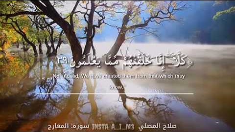 صلاح المصلي .. كلا إنا خلقناهم مما يعلمون ..من سورة المعارج .