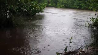 The sound of rain along the river on a rainy day, lullaby sounds of nature/ Szum deszczu nad rzeką