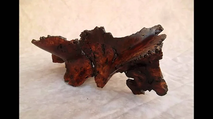 Derek Bencomo Hawaiian Collection part 4