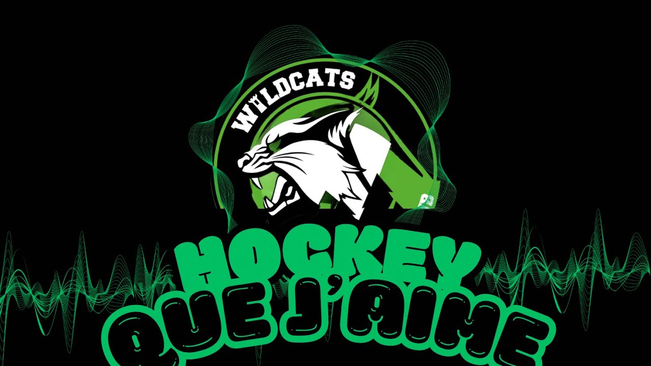 « Hockey que j’aime » by Suno (