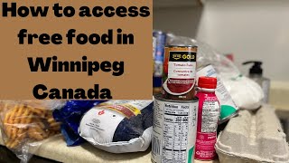 I Visited The Food Bank This Is What Happened Should I Go Again?