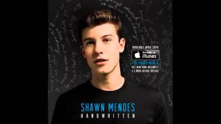 Video thumbnail of "A Little Too Much - Shawn Mendes (Audio) [From "Handwritten"]"