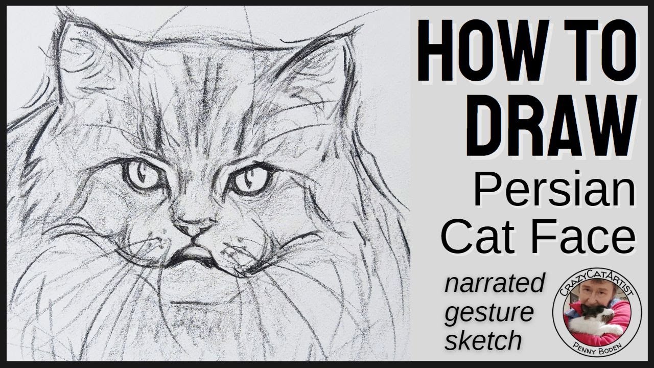 How To Draw A Cat Laying Down, Side View, Facing Front, 46% OFF