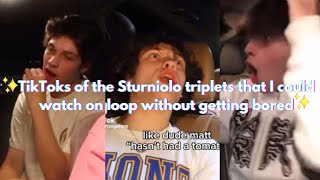 TikToks of the Sturniolo triplets that I could watch on loop without getting bored
