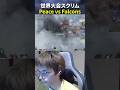 世界大会スクリムPeace vs Falcons#shorts#Peace#UNLIMIT #apex