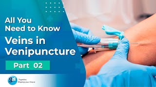 Anatomy of Phlebotomy I Venipuncture Procedure I Global Edulink screenshot 4