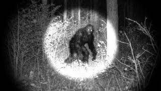The Skunk Ape Is Real. We Tried To Kill It.