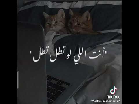 يا زى القهوة بن بن استغني عنك لا اظن