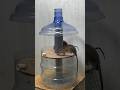 Best home mouse trap/good rat trap plastic bottle #rat #mousetrap #rattrap #trap #shor