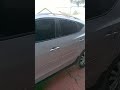 Gato vigiando o gato.